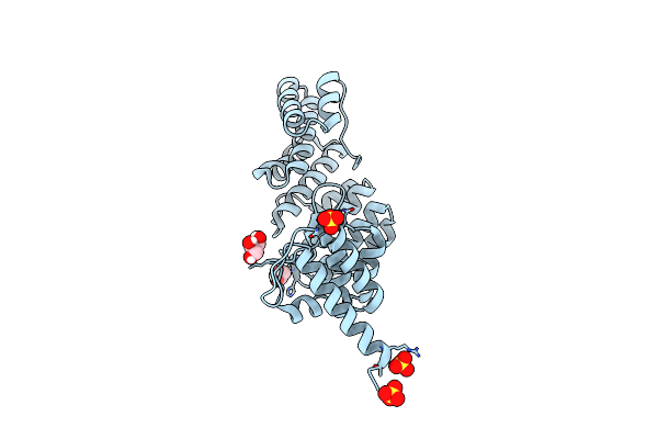 7VEP image
