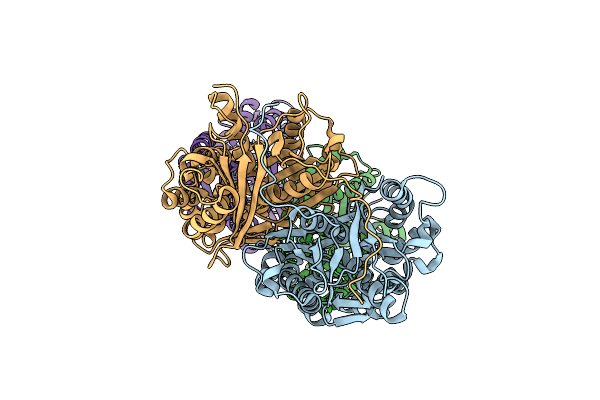 7VEY image