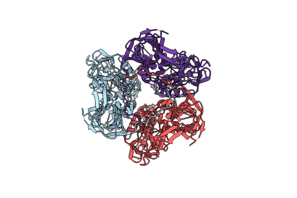 7VFF image