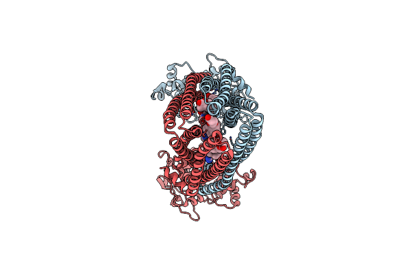 7VFI image