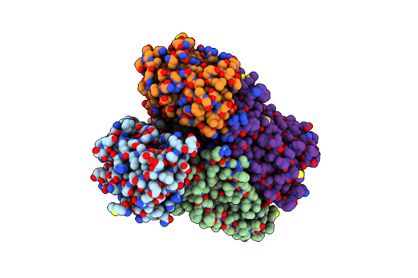 7VFP image