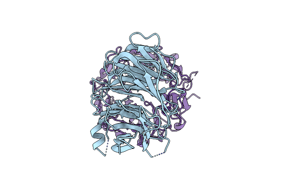 7VGG image