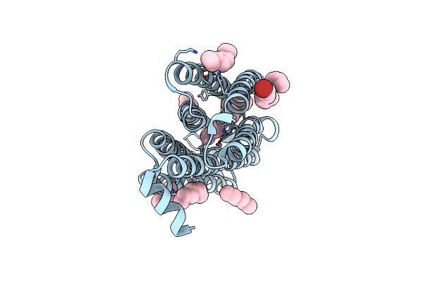 7VGT image