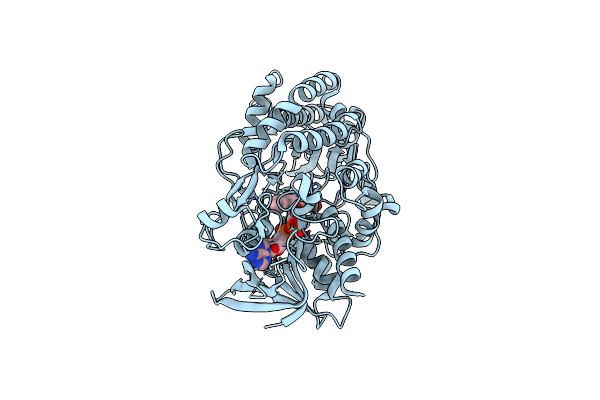 7VKD image