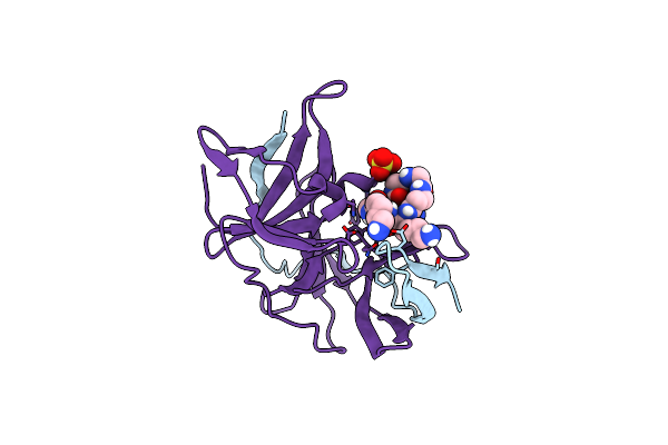 7VLI image