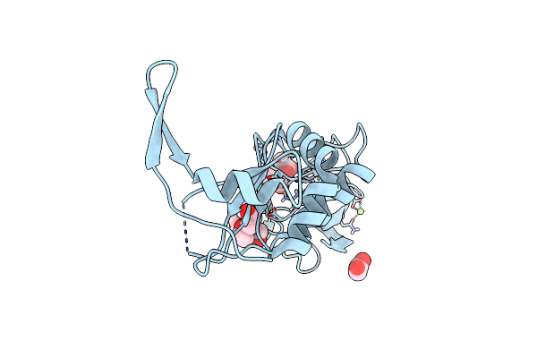 7VLM image