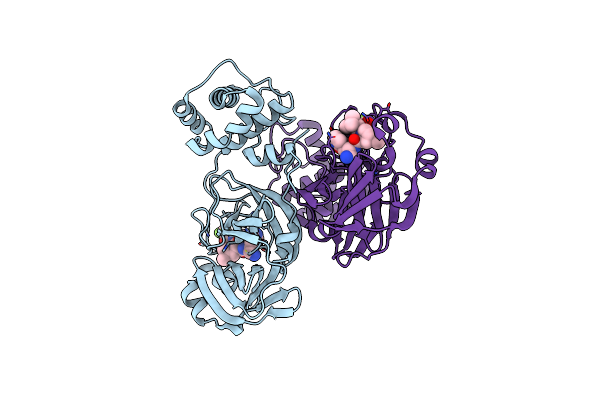 7VLP image