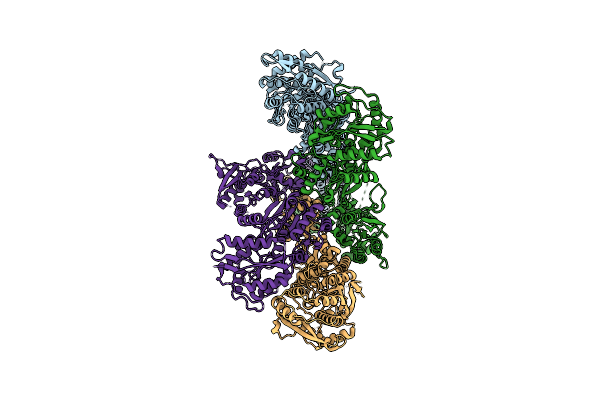 7VM2 image