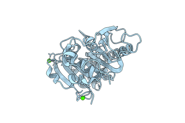 7VMD image
