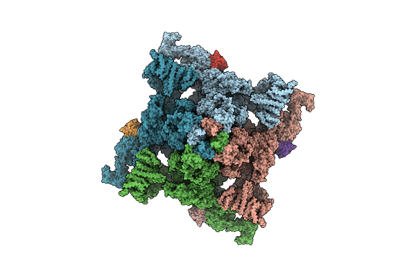 7VML image