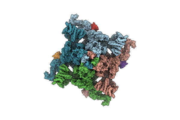 7VMM image