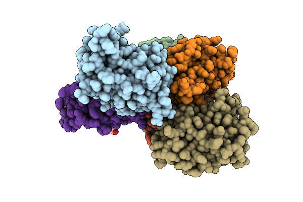 7VMT image