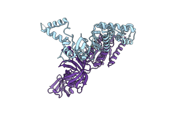 7VMX image