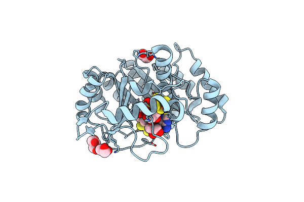 7VOB image