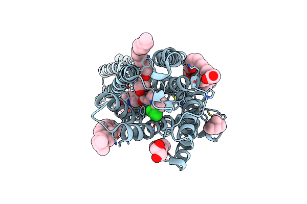 7VOE image