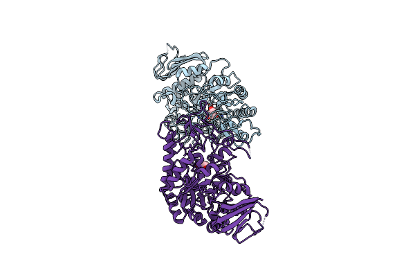 7VOH image