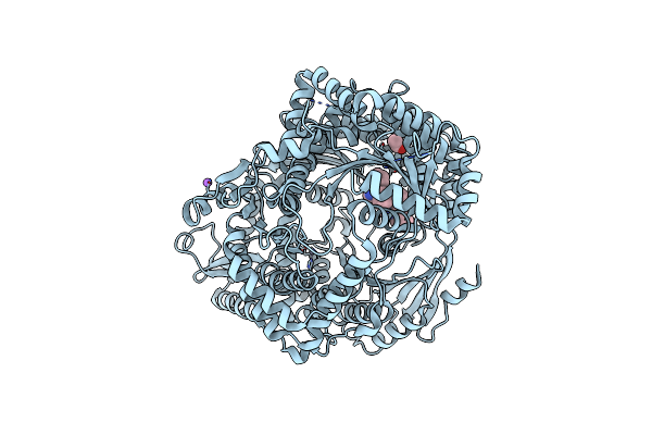 7VPE image