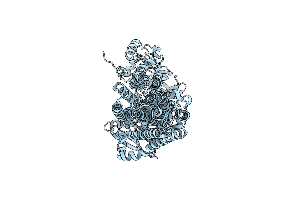7VPI image