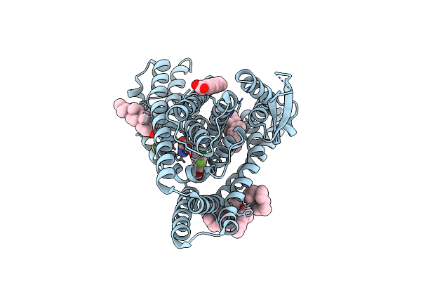 7VR7 image