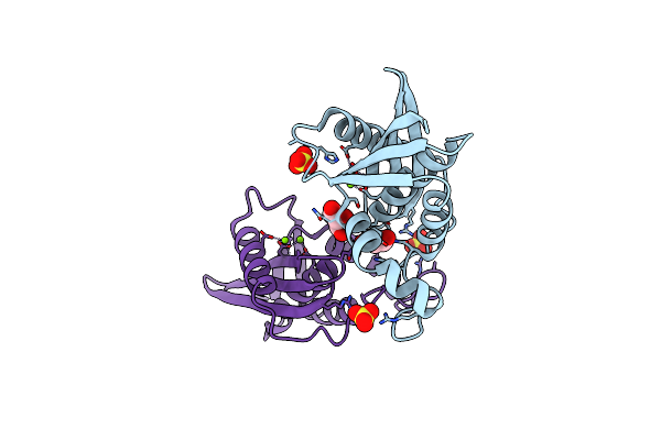 7VSA image