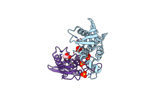 7VSE image