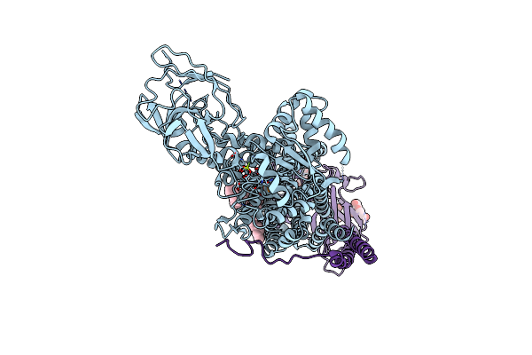 7VSG image
