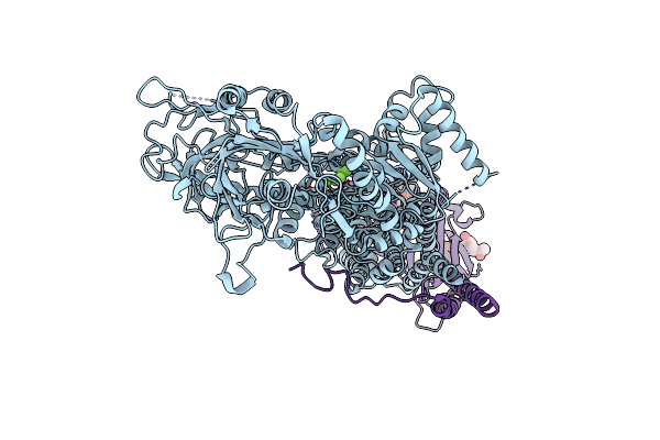 7VSH image