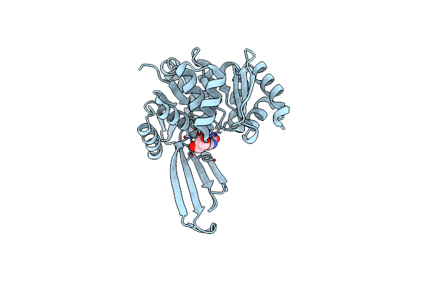 7VSK image