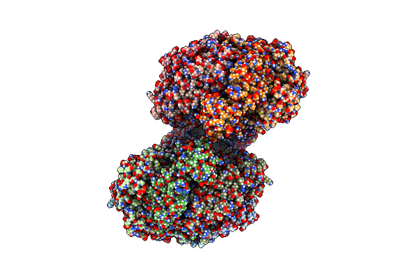 7VSR image