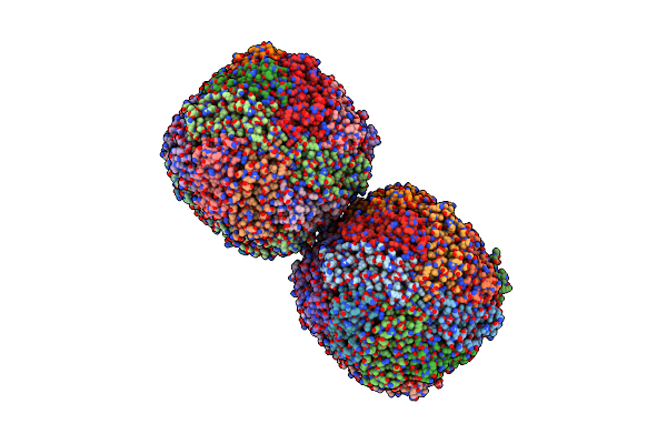 7VT2 image