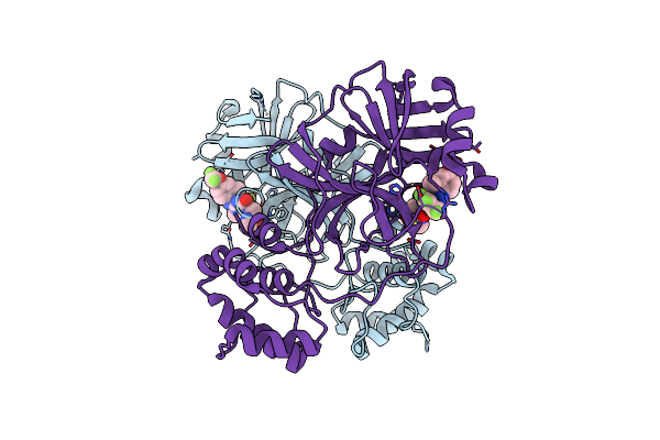 7VTH image