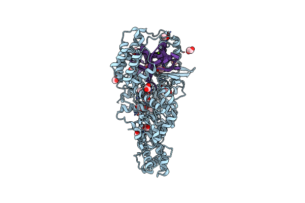 7VTI image