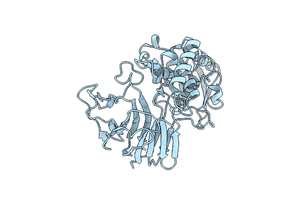 7VTK image