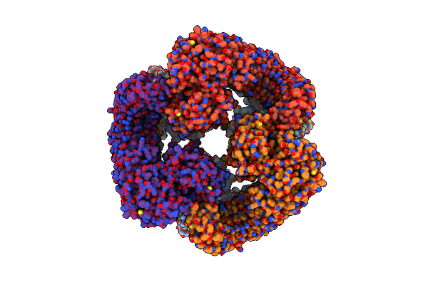 7VTP image