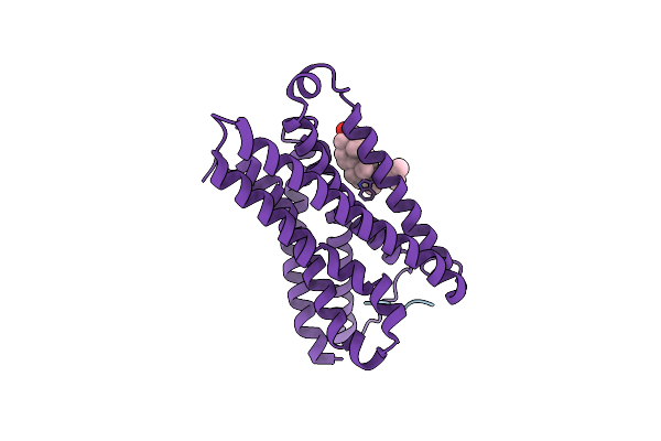 7VV4 image