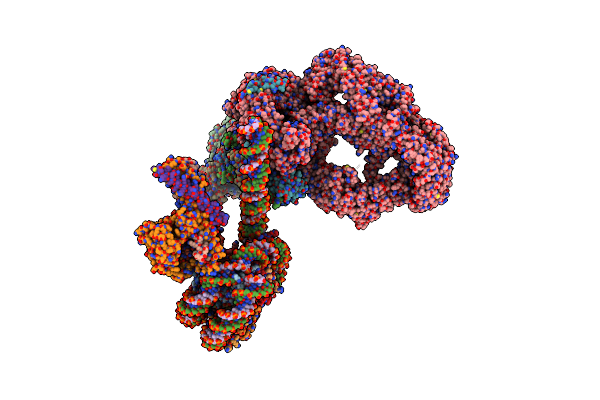 7VVZ image