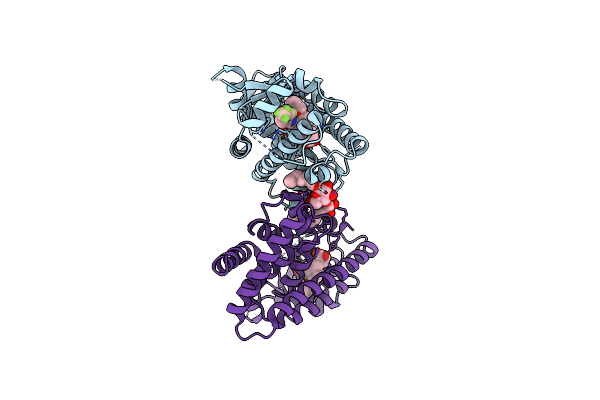 7VWF image