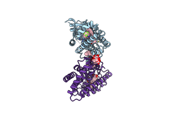 7VWH image