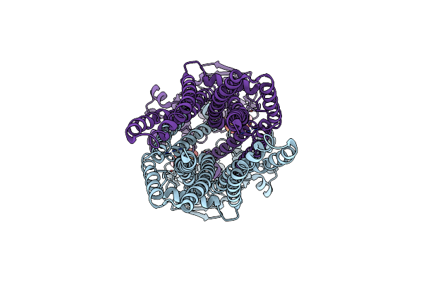 7VX8 image