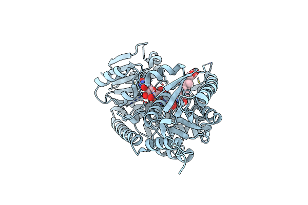 7W10 image