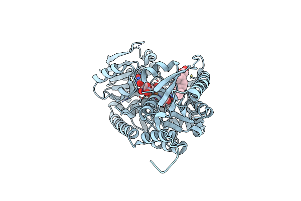 7W1B image