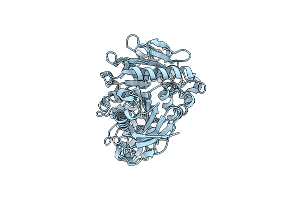 7W1K image
