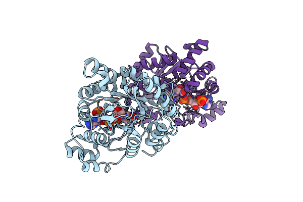 7W1X image