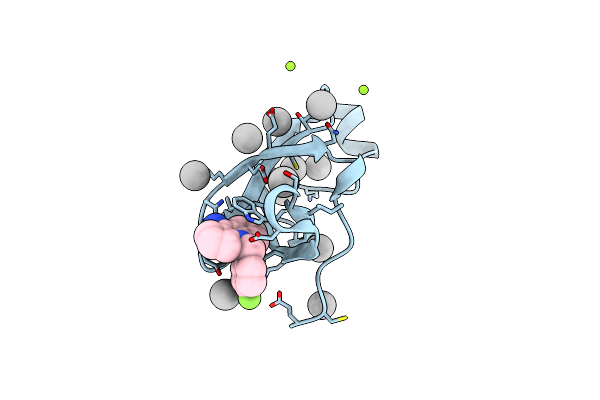 7W2P image