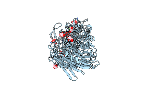7W2V image