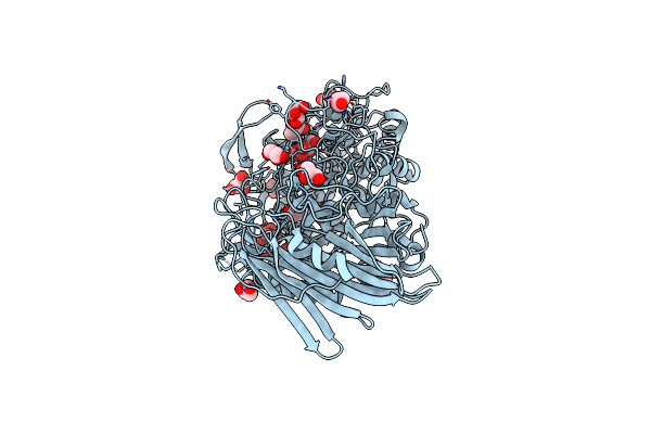 7W2W image