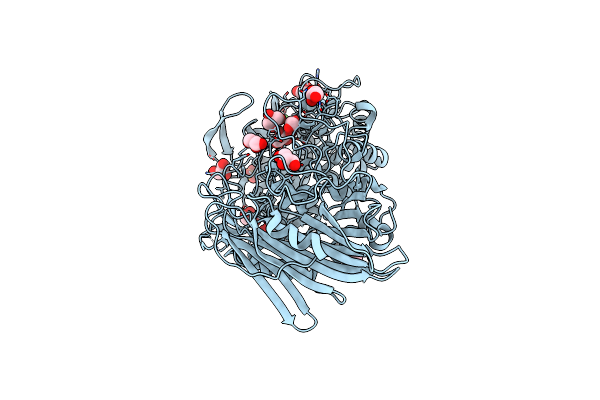 7W2X image