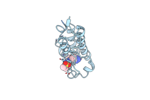 7W3D image