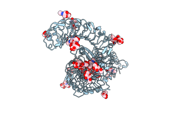 7W3X image