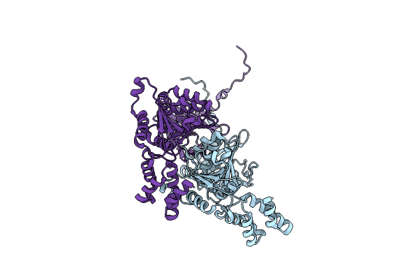 7W42 image